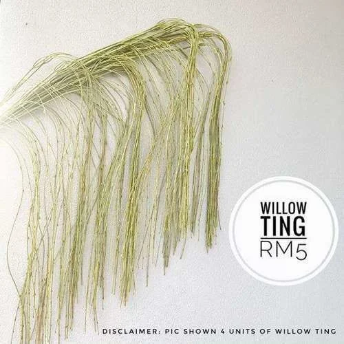 (CYB) Flora - Willow Ting