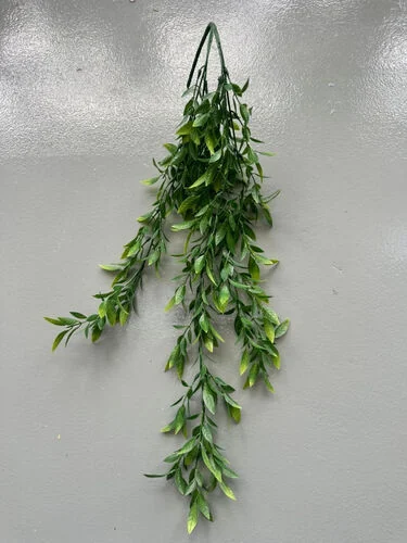 (SM) Daun Kari