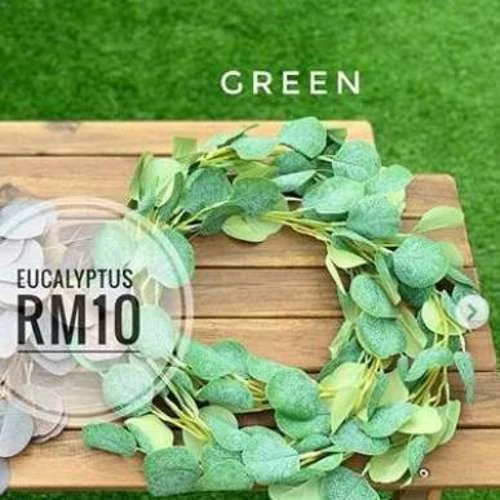 (SM) Flora - Eucalyptus Green