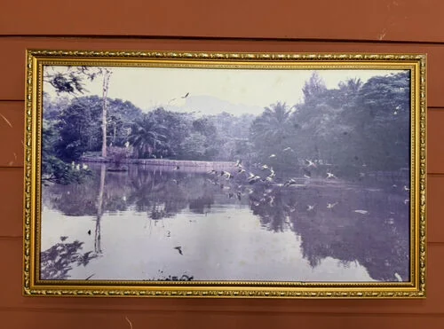 (SM) Frame lama lake view