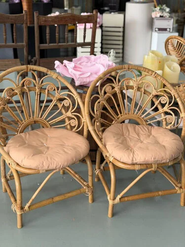™ Peacock chair kids set of 2